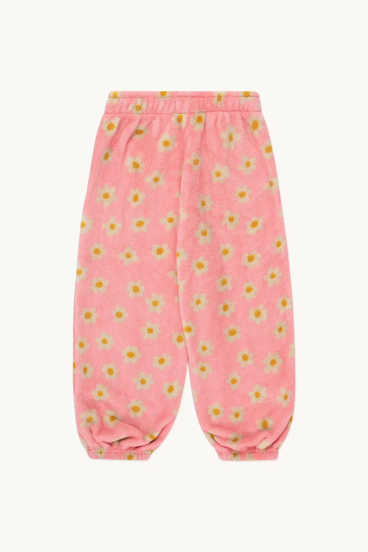 Jogger daisies